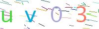 Verify Code