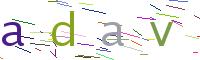 Verify Code