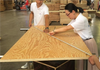 Pine Eucalyptus Structural Plywood for Concrete System